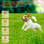 1Pc 984FT Dog Training Collar IP65 Waterproof Pet Beep Vibration Electric Shock Collar 3 Channels Rechargeable Transmitter Receiver Trainer With Recording Safety Keypad Lock