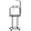 Parrot Stand Large Bird Perch Stand with Toy Hook & 3 Ladders, Parrot Perch, Bird Wooden Stand, Gray