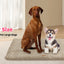 Premium Plush Dog Bed With Removable Washable Cover - All-Season Anti-Slip Pet Mat For Dogs & Cats, Indoor Outdoor Use In Crate, Kennel & Home - Ultra Soft Warmth For Year-Round Comfort