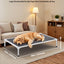 Elevated Dog Bed For Large Dog Portable Raised Dog Cot With Teslin Mesh XL