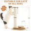 Medium-sized Two-layer Sisal Cat Scratching Post, Indoor Cat Interactive Toy, Wooden Ball Lane Hanging Ball For Kittens.